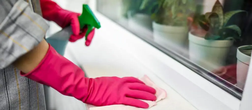 Top 10 Reinigungsprodukte für eine professionelle Fensterreinigung